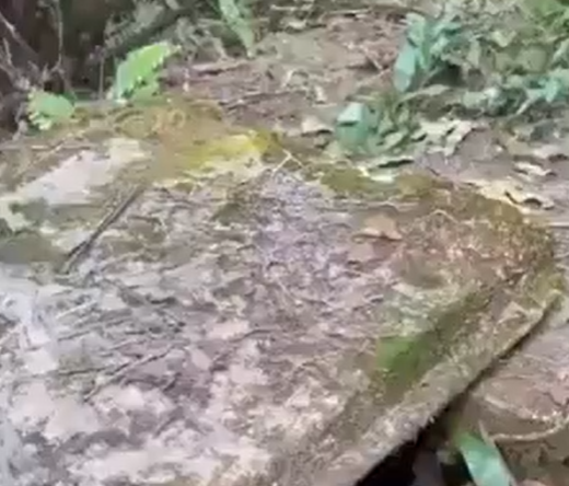 (Video) Police neutralize three kidnappers, rescue Justice Ministry Director and niece