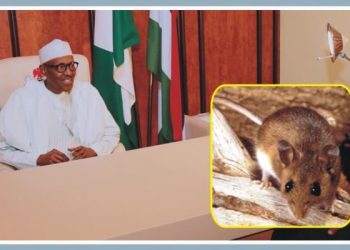 ‘Why I lied rats invade Aso Rock’— Ex-President, Buhari’s spokesman confesses
