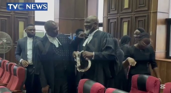 Ex Senator Dino Melaye Makes First Appearance in Court With His Gown & Wig As a Lawyer