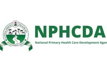 Nigeria Faces $1 Billion Immunisation Funding Gap — NPHCDA Warns