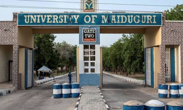 Tinubu renames University of Maiduguri after Buhari