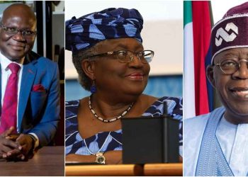 ‘Why Okonjo-Iweala can’t criticize Tinubu’