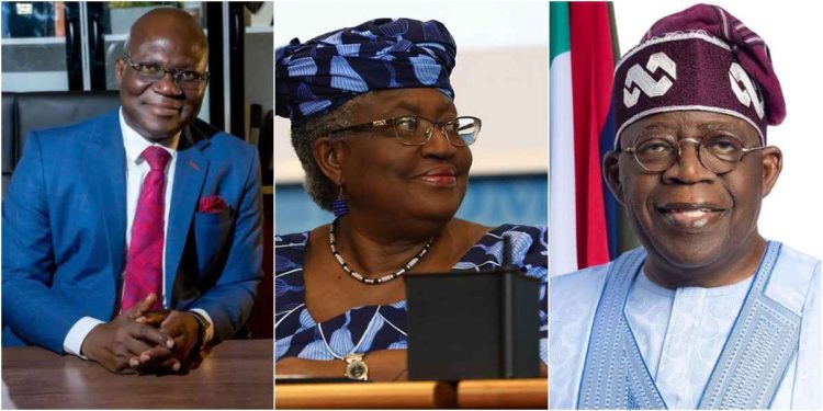 ‘Why Okonjo-Iweala can’t criticize Tinubu’