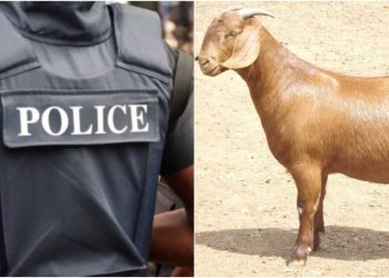 Nigeria Police Force fires officer for stealing goat