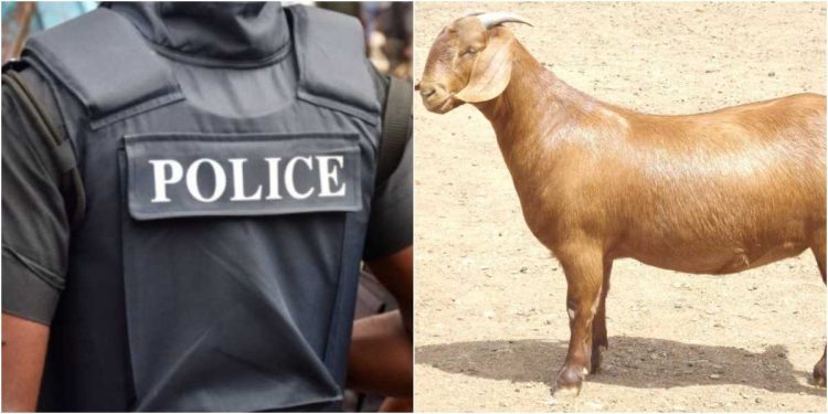 Nigeria Police Force fires officer for stealing goat
