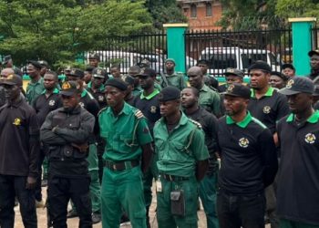 Enugu Forest Guard to Hold Stakeholder Town Halls, Recruitment 