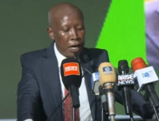 Malema urges African Nations to regulate loans from World Bank, IMF