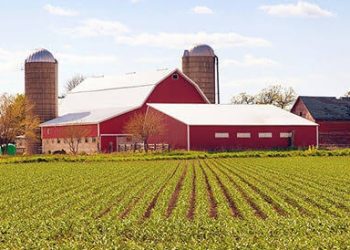FG Unveils New Post-harvest Systems For Nigerian Farmers