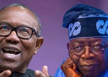 2027: If Obi can’t get it, let Tinubu continue – Sam Amadi