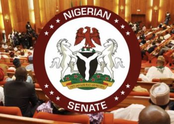 “Our plans for men having sexual intercourse with minor”— Nigerian senate
