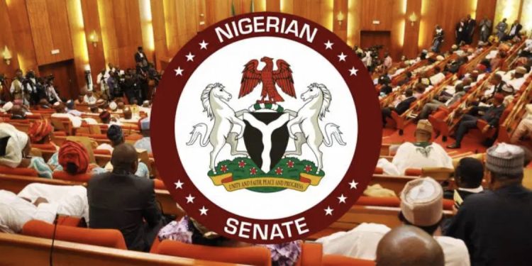 “Our plans for men having sexual intercourse with minor”— Nigerian senate