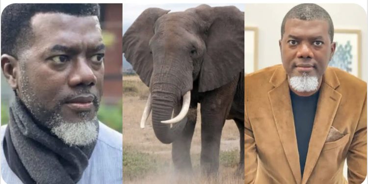 “Day I was chased by an elephant”— Reno Omokri