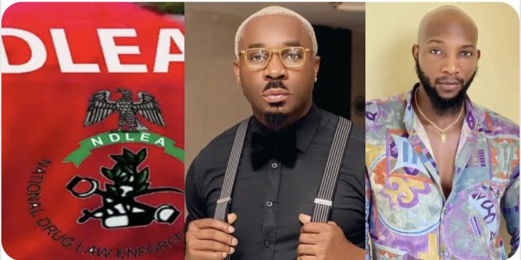 NDLEA storms Lagos nightclub, arrests top social media influencers