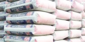 Dangote Cement begins 2025 Sustainability Week With Impactful Programmes
