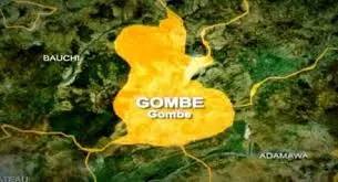 Gombe Govt Warns Residents After Deadly Hippo Attack at Dadin Kowa River