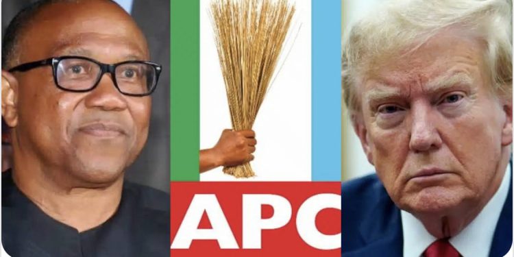 APC blasts Peter Obi over comment on Trump’s threat
