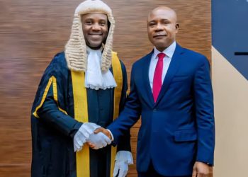 Senate confirms Kingsley Udeh as minister