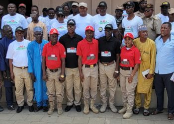 NIS committed to combating irregular migration – Official