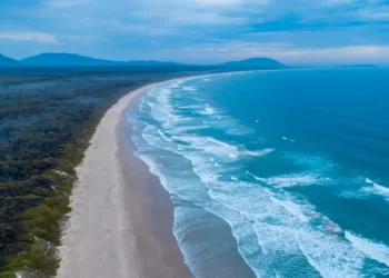 Tragedy Strikes Crowdy Bay: Shark Attack Claims Young Woman’s Life, Leaves Man Critical