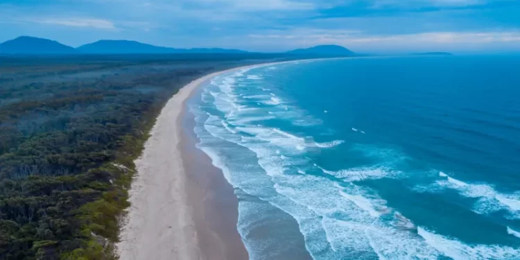 Tragedy Strikes Crowdy Bay: Shark Attack Claims Young Woman’s Life, Leaves Man Critical