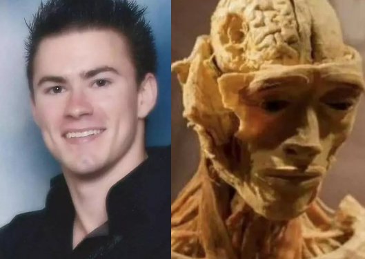 Horrified mum ‘discovers son’s dead body’ on display in museum 
