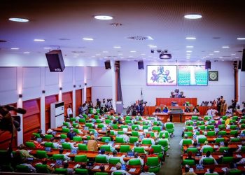 Reps Slam FG Over Bandit Dialogue, Say Talks Endanger Nigerians