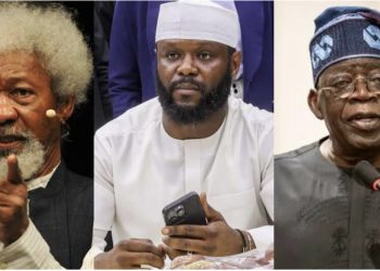 Tinubu should’ve sent his son, Seyi to Benin Republic not Air Force – Wole Soyinka