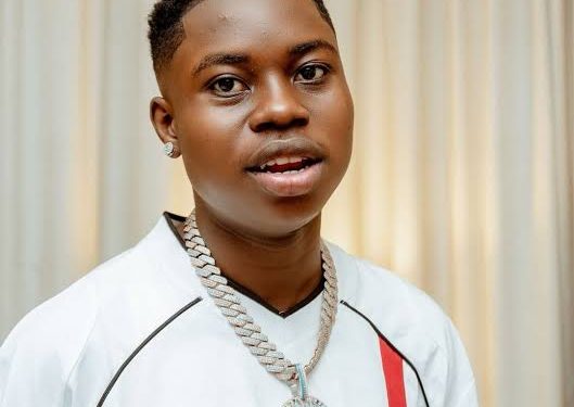 FRSC Targets Influencer Peller Over Distracted Driving Crash