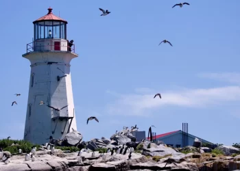 Canadian Senator Demands Ottawa Reinforce Claim Over Disputed Island With the US