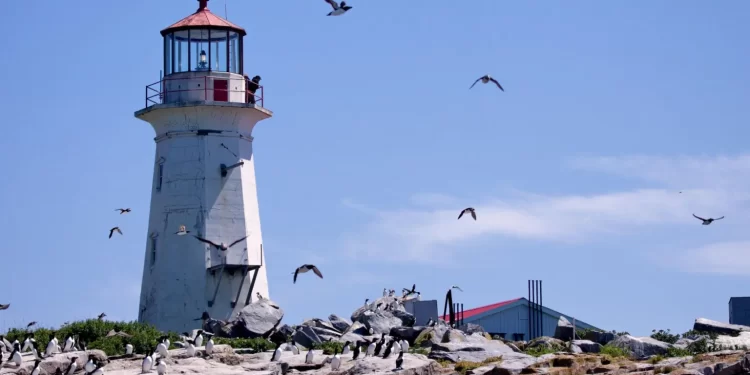 Canadian Senator Demands Ottawa Reinforce Claim Over Disputed Island With the US