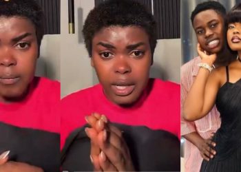 Jarvis defends Peller amid online backlash following his car crash