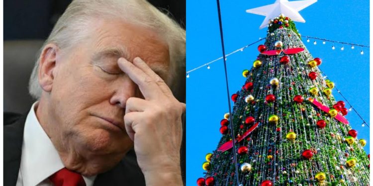 Donald Trump’s Christmas message sparks reactions on social media