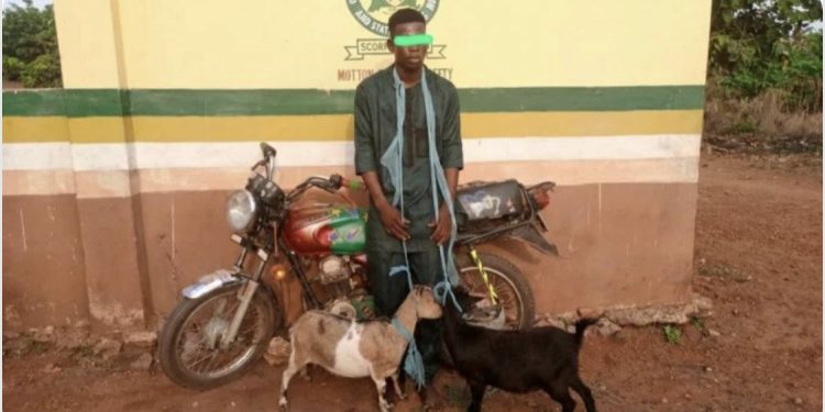 Man arrested during the naming ceremony of his child in Ogun church