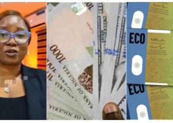 “Hello Eco” – Nigeria reportedly to stop using Naira from 2027
