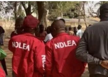 Fruit Seller Allegedly Shot Dead During NDLEA Raid in Lagos