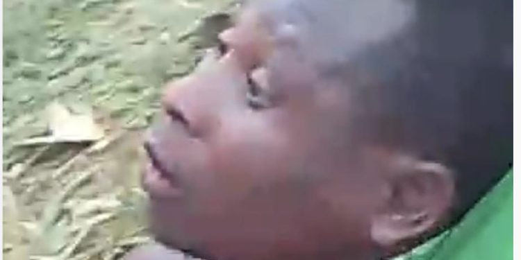 Police arrest man found with severed head of minor in Ibadan