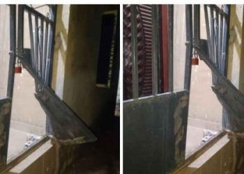 ‘Daddy, Are They Coming to Kill Us?’ — Robbers Terrorise Journalist’s Family at Dawn (Photos)