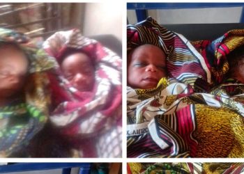 Newborn twins found abandoned in bush