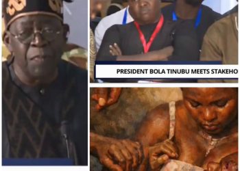 Tinubu visits Plateau state, meets mother in viral video holding dead son