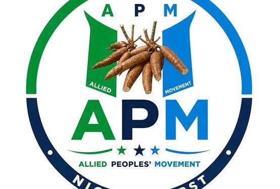 Oyo lawmaker, Olajide dumps PDP for APM