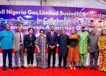 Natural gas has strategic advantages for manufacturers says SNG MD