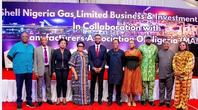 Natural gas has strategic advantages for manufacturers says SNG MD