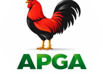 APGA primaries: Odua, Nwankwo, Obidigwe, others make list
