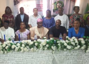 Experts lament low industrial utilisation of cassava in Nigeria 