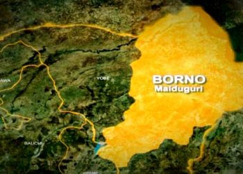 ISWAP set schools ablaze in Borno