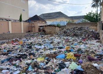 Group Takes Fight Against Environmental Pollution to Bauchi Community