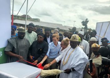 FG lauds EU, Germany, NESP for power support
