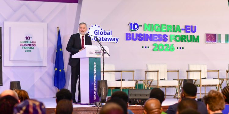 EU Accounts for 31% of Nigeria’s Trade, Expands Investment Push
