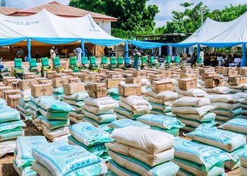 Food Security: Mustapha donates farm Inputs to Kwara farmers