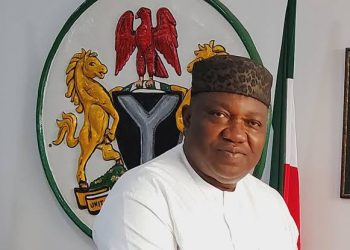 Ugwuanyi Disowns Claims of Supporting PDP Candidate